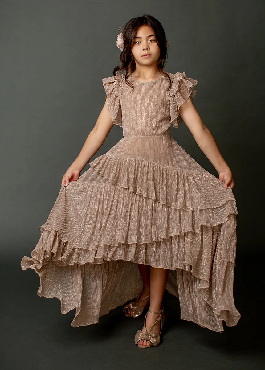 Angelina Dress in Rosegold