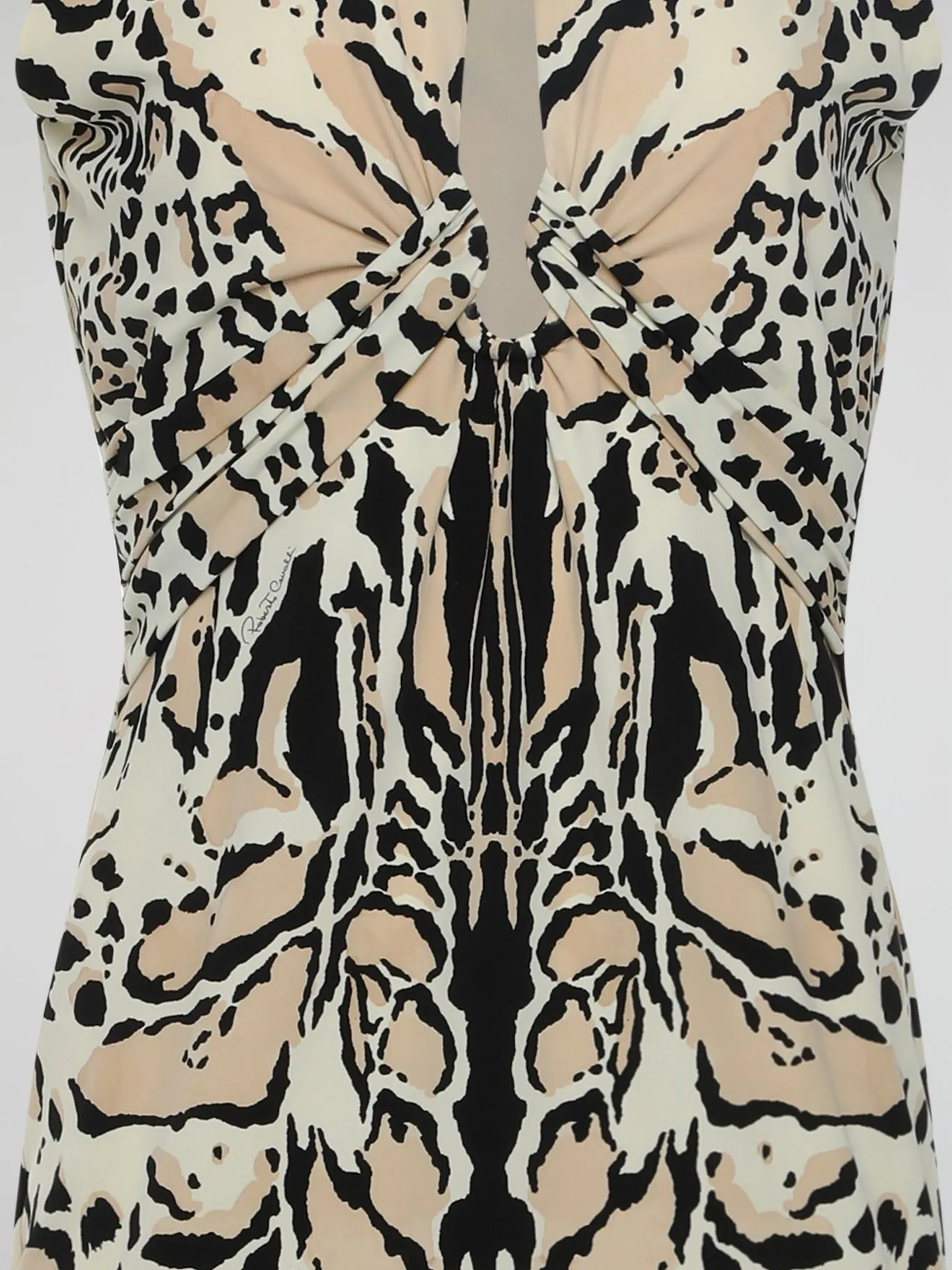 Animal Print Keyhole Dress