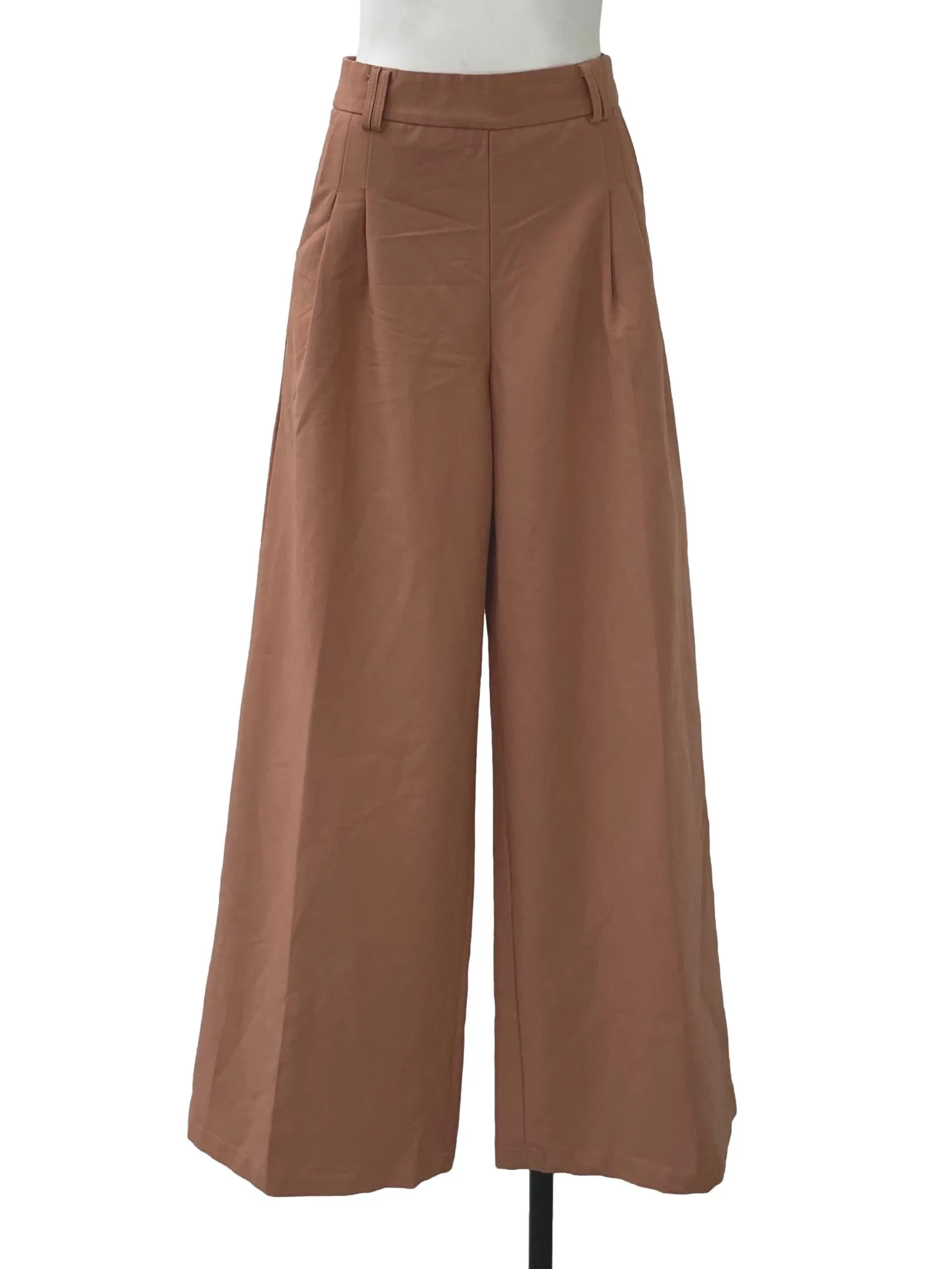 Brown Pleated Wide Legged Pants TEM