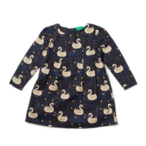 Little Green Radicals Swimming Smock Dress