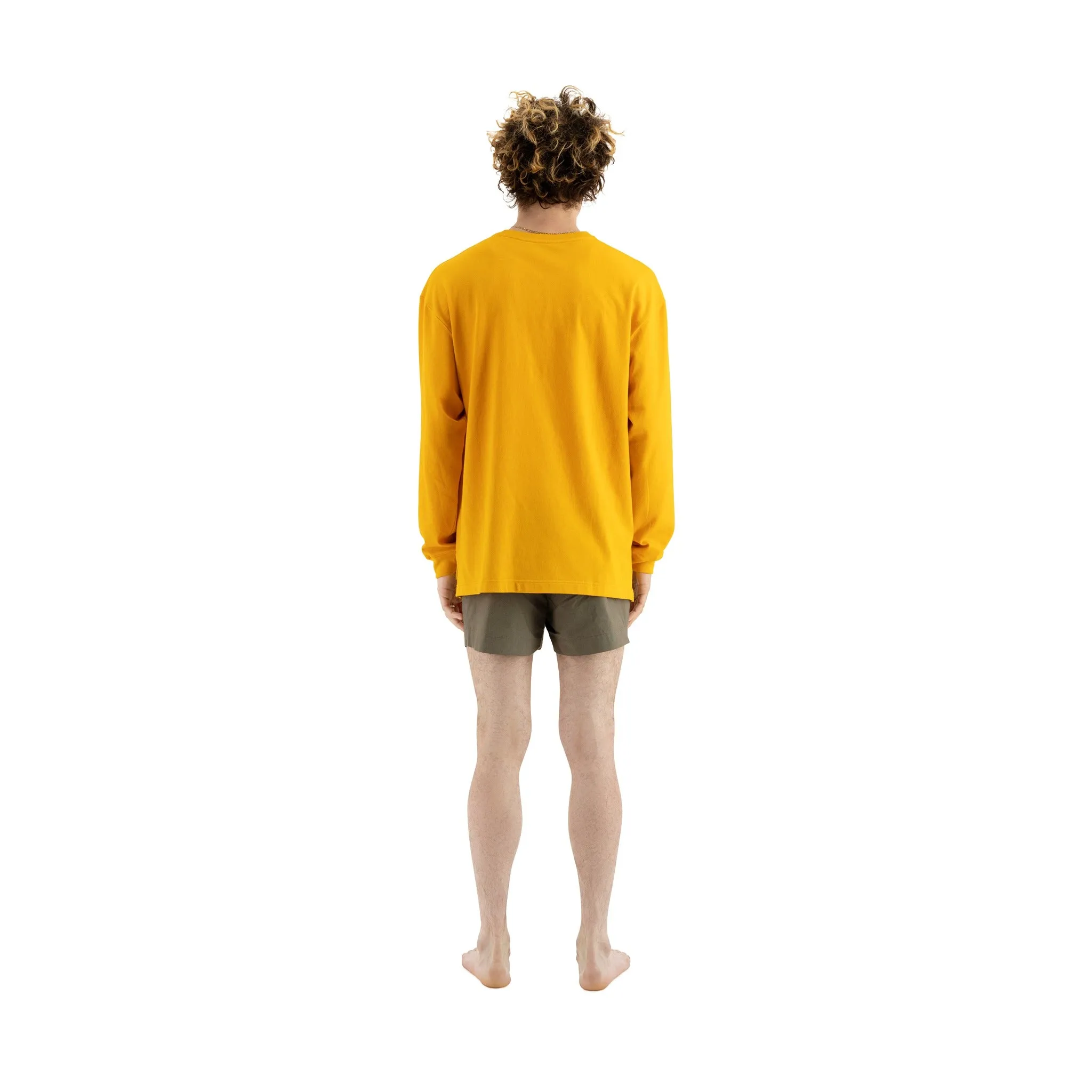 Paul Swim Shorts Weimaraner Grey