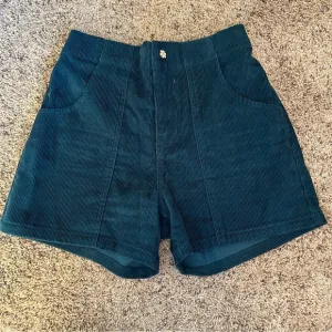 Teddy Fresh Blue Corduroy Shorts Size XS