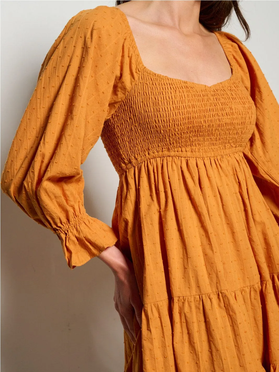 WOMEN'S LONG SLEEVE SMOCK TIERED SWISS DOT MINI DRESS